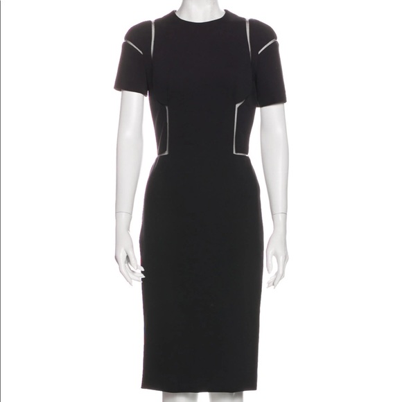 Alexander McQueen Dresses & Skirts - ALEXANDER McQUEEN dress